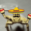 SpiderDance emote for Discord