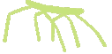 stickbug emote for Discord