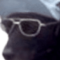 Confirmo_Zoom emote for Discord