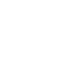 windowswhite emote for Discord