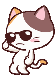 Meong_Cool emote for Discord