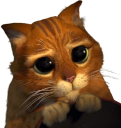 CuteStaringPussInBoots emote for Discord