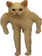 he emote for Discord