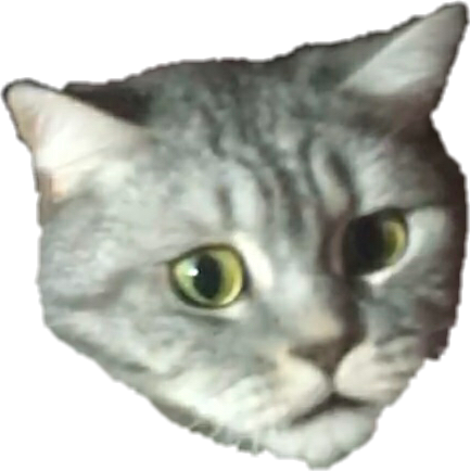CatBruh emote for Discord