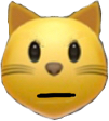 cat_stare emote for Discord
