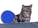 getreal emote for Discord
