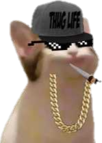 Sweg_popkitty emote for Discord