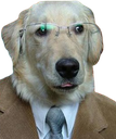 businessdog emote for Discord