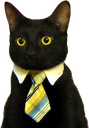businesscat emote for Discord