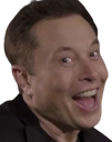 elontrollface emote for Discord