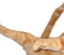 catjump1 emote for Discord