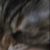 didntMeanIt emote for Discord