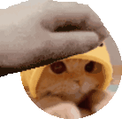 Nyder_PetPet emote for Discord
