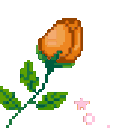 RoseOrange emote for Discord
