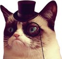 grumpycat_tophat emote for Discord