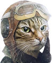 PilotCat emote for Discord