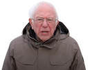 bernie emote for Discord