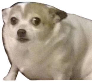 0_0 emote for Discord