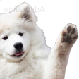 puppy_hi emote for Discord