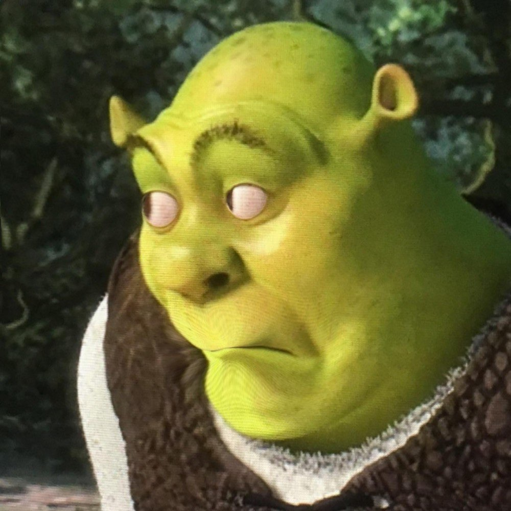 shrek_oops emote for Discord