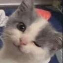 winksatu emote for Discord