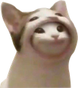catInCat emote for Discord