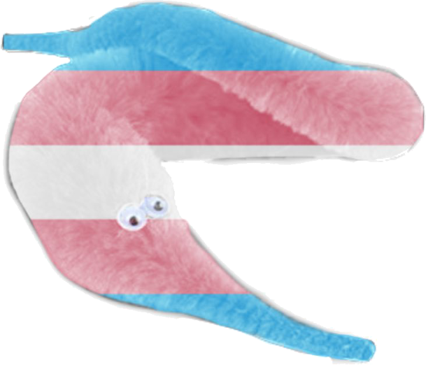 Trans_worm_on_string emote for Discord