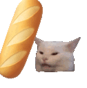bonk emote for Discord