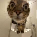 stare emote for Discord