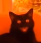 Demonic_Laughing_Cat emote for Discord