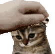 PetPet_SadCat emote for Discord