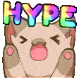 Hype_Cat emote for Discord