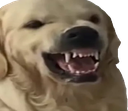 Warface emote for Discord