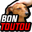 bontoutou emote for Discord