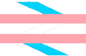 trainsgender emote for Discord