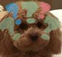 Puppy_Questionmark emote for Discord