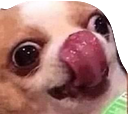 Dog_Yum_Yummy emote for Discord