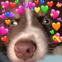 Sad_Love_Dog emote for Discord