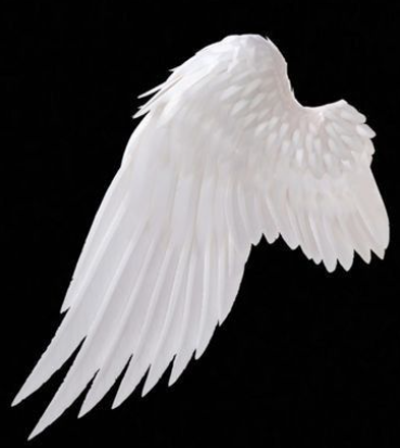 wingL emote for Discord