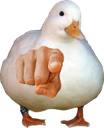 isforyou emote for Discord