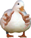ismine emote for Discord