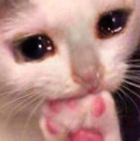 pain emote for Discord