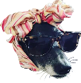 belle_sunglasses emote for Discord