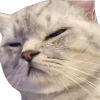 leoZen emote for Discord