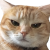 lilyAngry emote for Discord