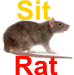 SitRat emote for Discord
