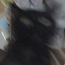 zoom emote for Discord