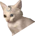 loading_cat_meme_2 emote for Discord