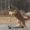 ScooterDog emote for Discord