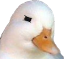isforsus emote for Discord